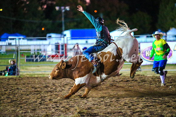 BathurstShow2017Fri_1472