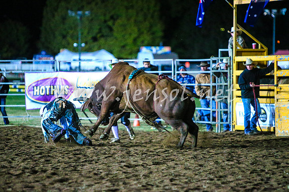 BathurstShow2017Fri_2198