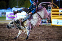 BathurstShow2017Fri_1297