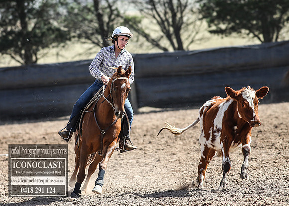 GoulburnCampdraft2018_3365
