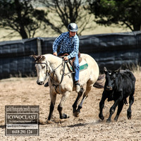 GoulburnCampdraft2018_2785