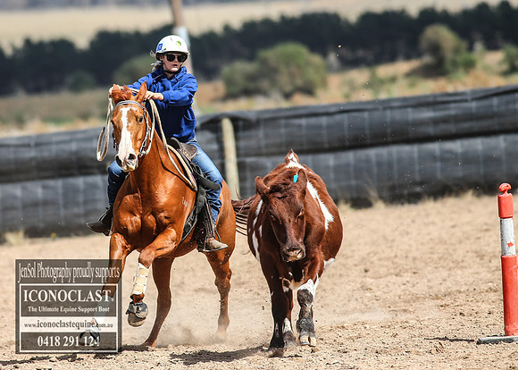 GoulburnCampdraft2018_2957