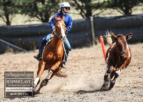 GoulburnCampdraft2018_2954