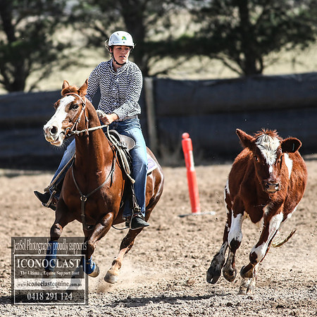 GoulburnCampdraft2018_3204