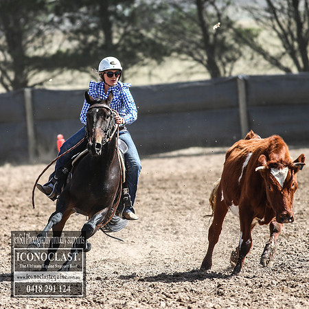 GoulburnCampdraft2018_3262