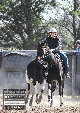 GoulburnCampdraft2018_3359