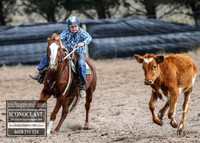 GoulburnCampdraft2018_2870