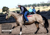 GoulburnCampdraft2018_2820