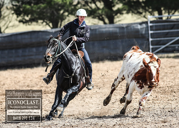 GoulburnCampdraft2018_2920