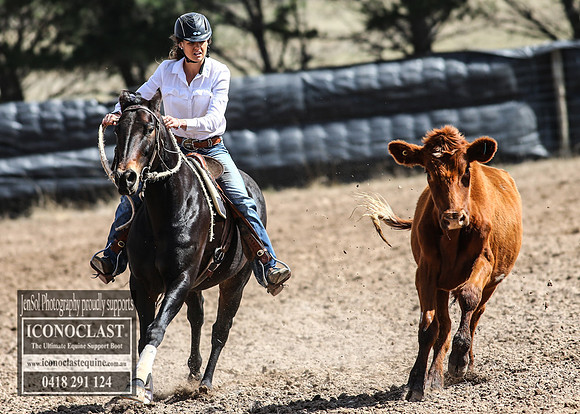GoulburnCampdraft2018_3309
