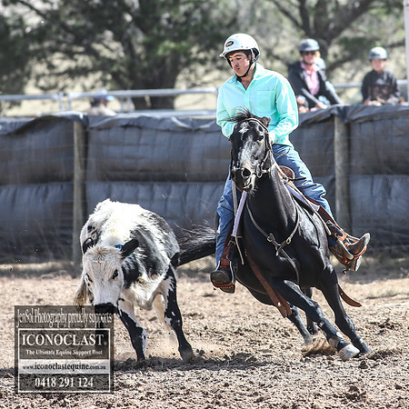 GoulburnCampdraft2018_3388
