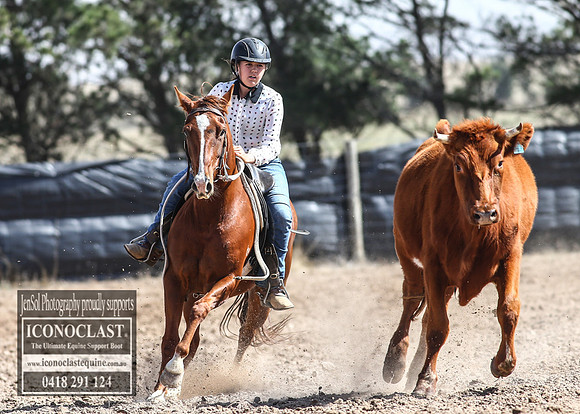 GoulburnCampdraft2018_3335