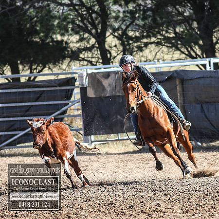 GoulburnCampdraft2018_3139