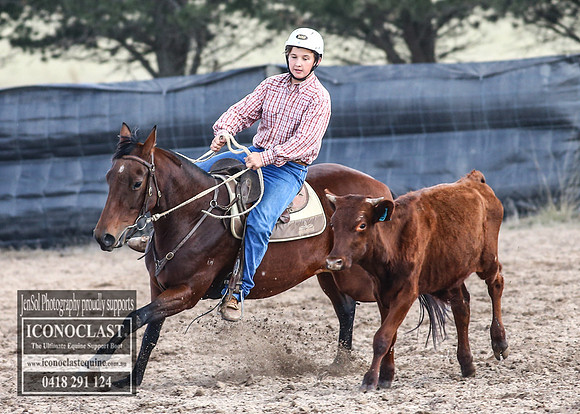 GoulburnCampdraft2018_2827
