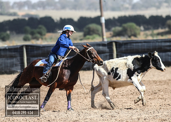 GoulburnCampdraft2018_3224