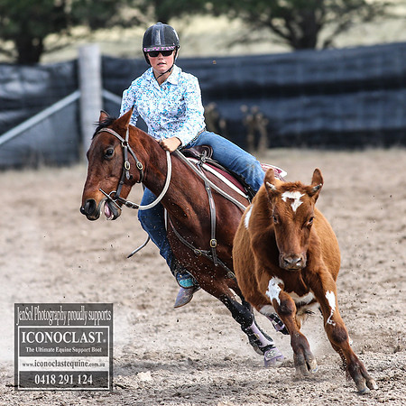 GoulburnCampdraft2018_2884