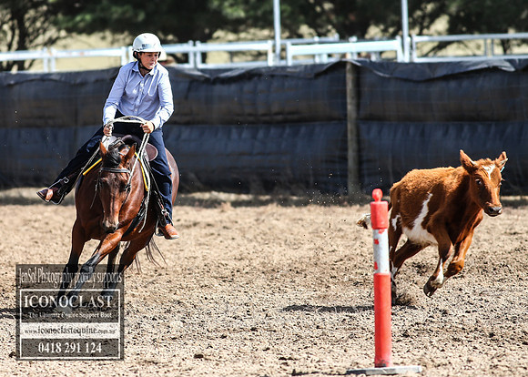 GoulburnCampdraft2018_2747