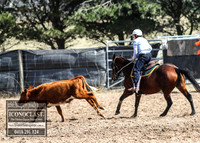 GoulburnCampdraft2018_2753