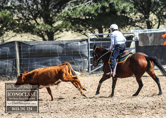 GoulburnCampdraft2018_2753