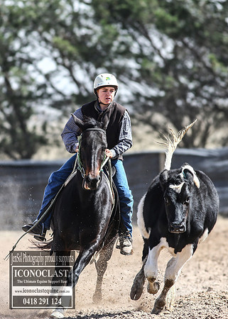 GoulburnCampdraft2018_3353