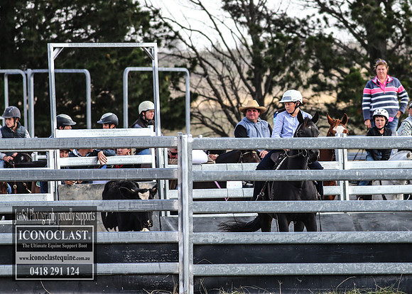 GoulburnCampdraft2018_2838