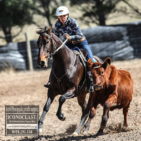 GoulburnCampdraft2018_3178