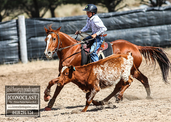 GoulburnCampdraft2018_2772