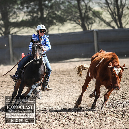 GoulburnCampdraft2018_3260
