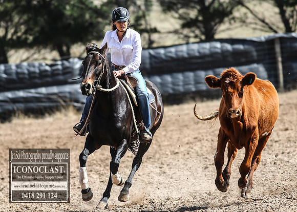 GoulburnCampdraft2018_3302
