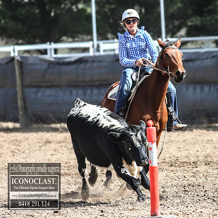 GoulburnCampdraft2018_2905