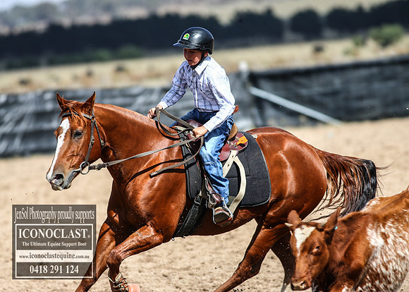 GoulburnCampdraft2018_2777