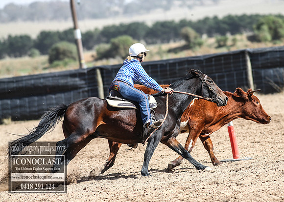 GoulburnCampdraft2018_3291