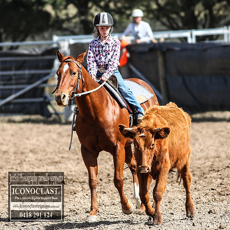 GoulburnCampdraft2018_2761