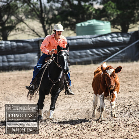 GoulburnCampdraft2018_3249