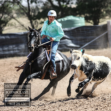 GoulburnCampdraft2018_3375