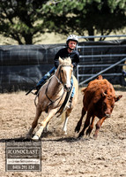 GoulburnCampdraft2018_2789