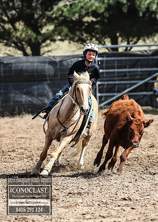GoulburnCampdraft2018_2789