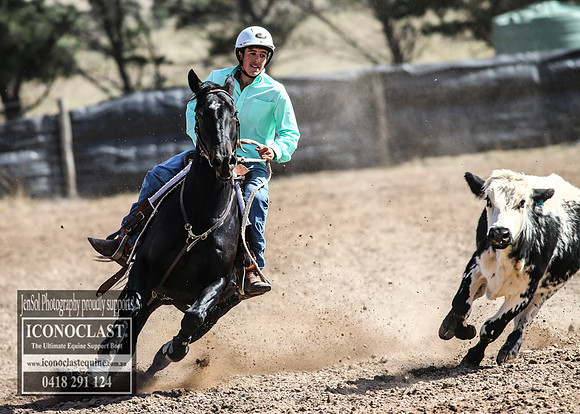 GoulburnCampdraft2018_3367