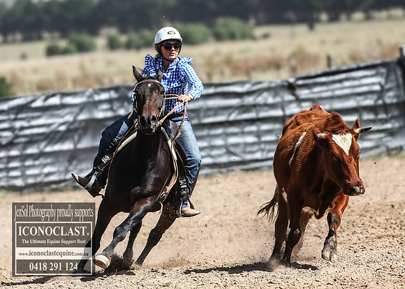 GoulburnCampdraft2018_3282