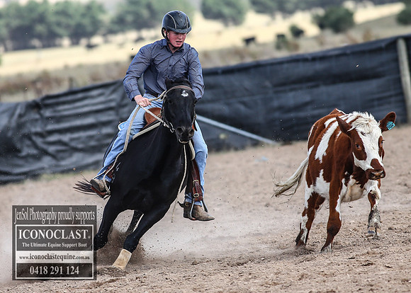 GoulburnCampdraft2018_2999