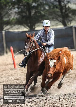 GoulburnCampdraft2018_3105