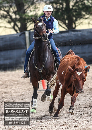 GoulburnCampdraft2018_2940