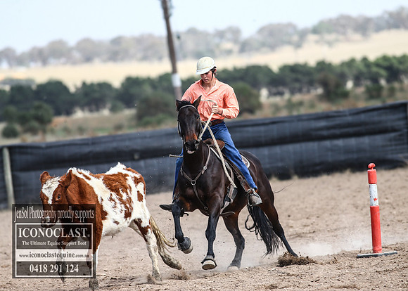 GoulburnCampdraft2018_2987