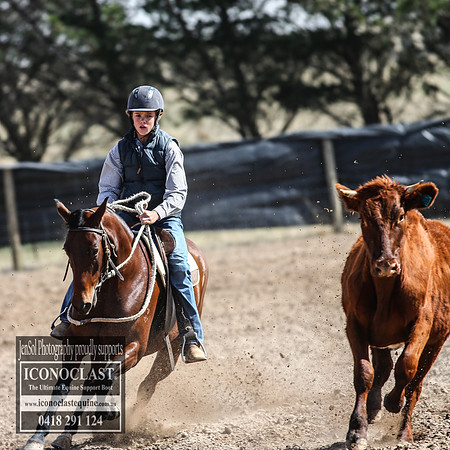 GoulburnCampdraft2018_3416