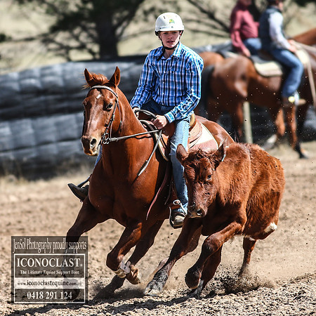 GoulburnCampdraft2018_3161
