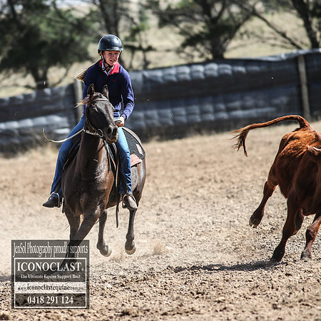 GoulburnCampdraft2018_3428