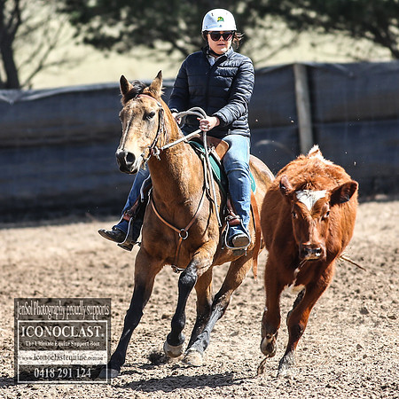 GoulburnCampdraft2018_3190