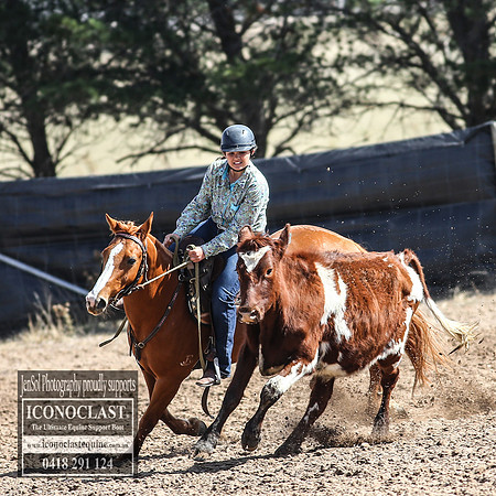 GoulburnCampdraft2018_3147