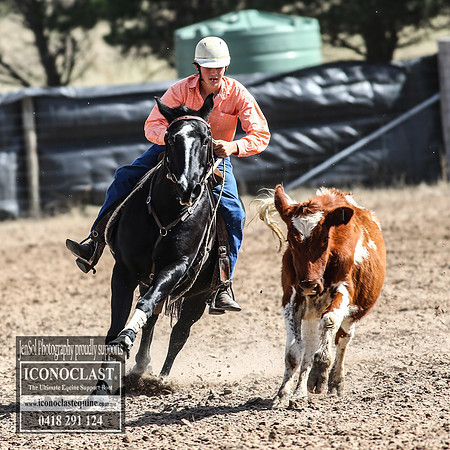 GoulburnCampdraft2018_3240