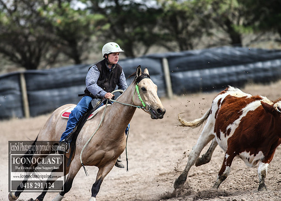 GoulburnCampdraft2018_3011